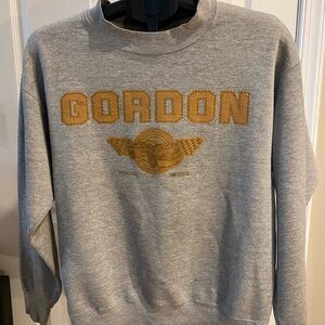 NASCAR Jeff Gordon crewneck sweatshirt vintage Y2k small